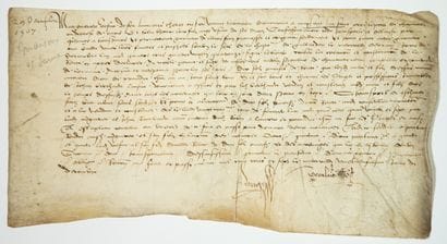 MAISONS ALFORT (94). Charter passed on December...