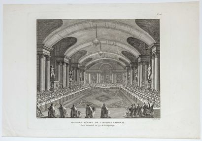 INSTITUTE OF FRANCE. 
