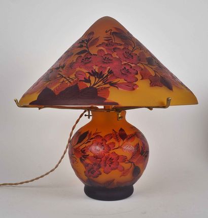 
French work

Mushroom lamp in glass with...