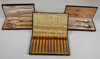 1 set of three cases including :

- a fish...