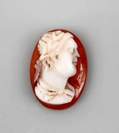 Cameo representing a roman emperor

Carnelian...