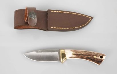 House Muela, knife model Colibri, deer antler...