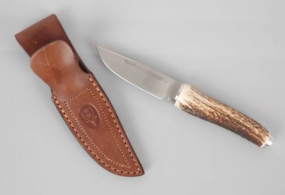 House Muela, knife model Falcon, deer antler...