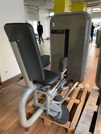 
TECHNOGYM - Guided machine for abductor...