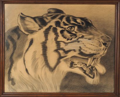 
Boussac (XIXth century)

The tiger

Charcoal...