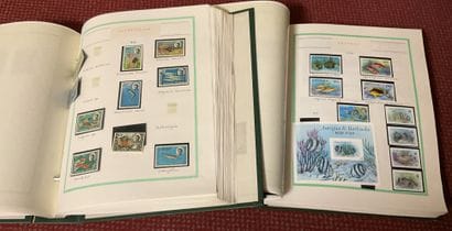 Fish - Crustaceans - Marine Mammals: An extensive...