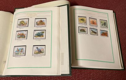 Various themes: Reptiles, butterflies, dogs,...