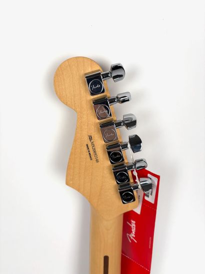 PTILUC x RENAUD
Fender Stratocaster electric...