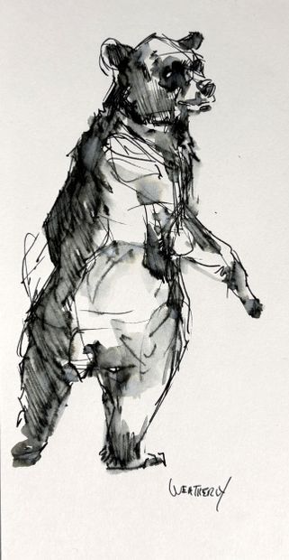 WEATHERLY Joe
Illustration of a bear
India...