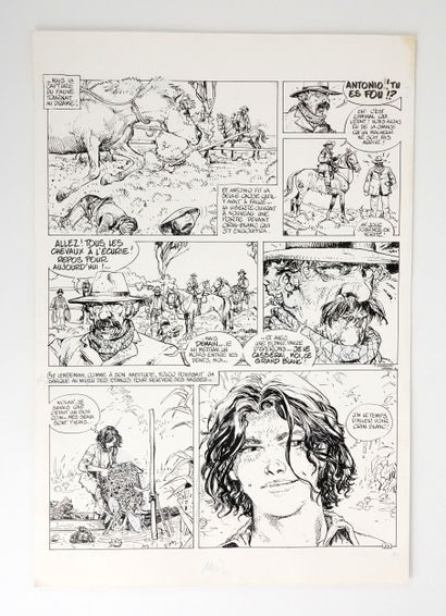 FAURE Michel
Crin Blanc
Plate 23 from the...