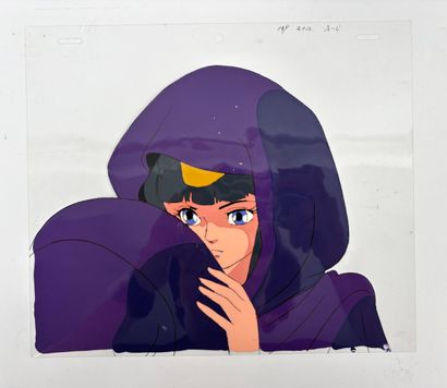 JAPANESE ANIMATION SAILOR MOON * After Naoko...