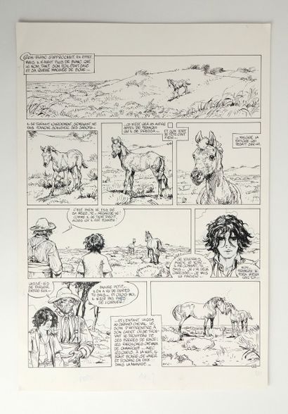 FAURE Michel
Crin Blanc
Sheet 16 from the...