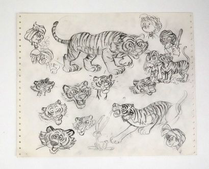 ANIMATION
ANONYMOUS
Model sheet for a tiger...