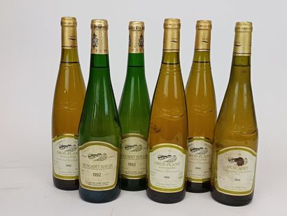 6 Bouteilles VINS DIVERS DU DOMAINE du SILLON...
