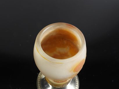 Etablissement Gallé

Vase en verre multicouche...