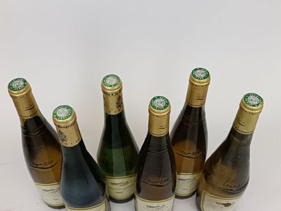 6 Bouteilles VINS DIVERS DU DOMAINE du SILLON...