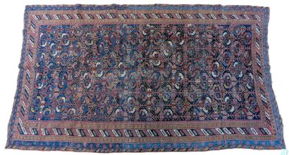 Tapis Afschar (chaine et trame en coton,...