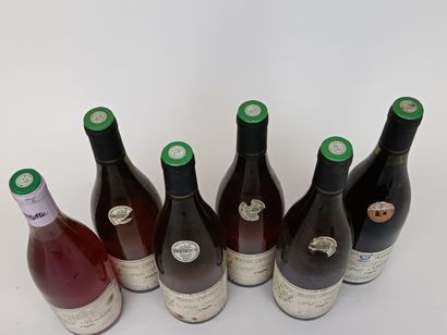 6 Bouteilles FIEFS VENDÉENS - PISSOTTE 5...