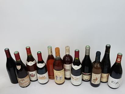 12 Bouteilles VINS DIVERS DE FRANCE VENDUS...