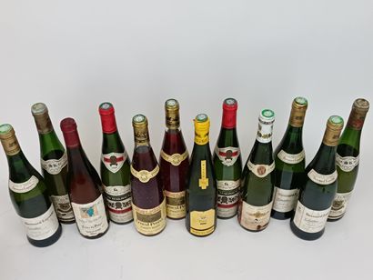 12 Bouteilles VINS D'ALSACE DIVERS VENDUS...