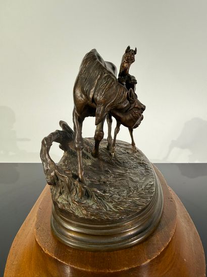 Pierre-Jules MÈNE (1810-1879)

Le poulain...