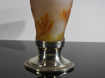 Etablissement Gallé

Vase en verre multicouche...