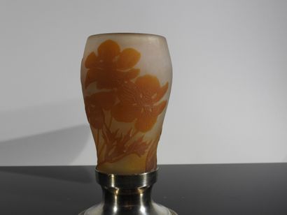 Etablissement Gallé

Vase en verre multicouche...