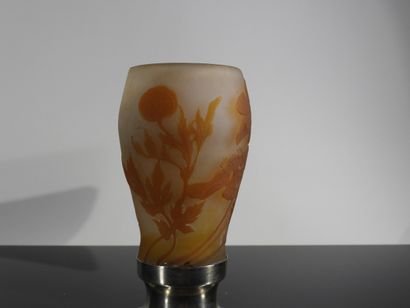 Etablissement Gallé

Vase en verre multicouche...