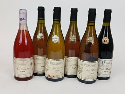 6 Bouteilles FIEFS VENDÉENS - PISSOTTE 5...