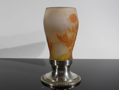 Etablissement Gallé

Vase en verre multicouche...