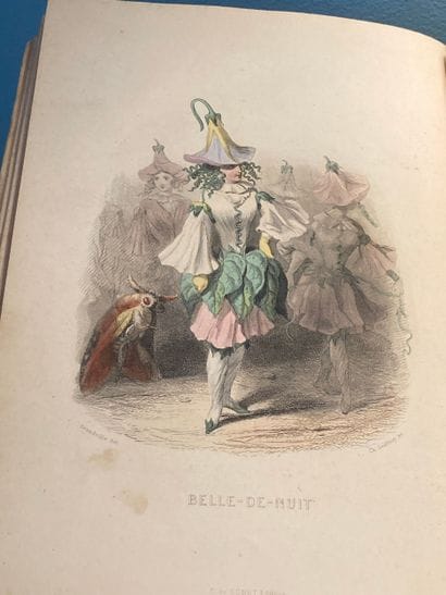 GRANDVILLE: Les fleurs animées. Introduction...