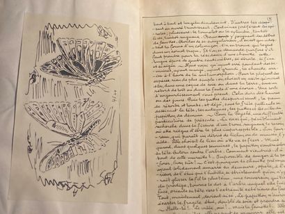 FRANC (Pierre) et L.-P. FRANTZEN: Les Papillons....