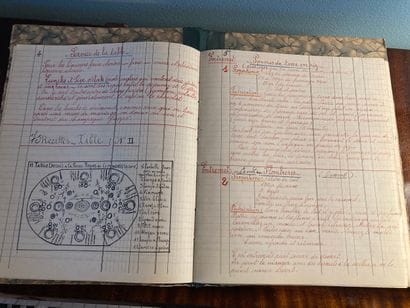 GASTRONOMIE - MANUSCRIT - Roland KNOBELSPIESS:...