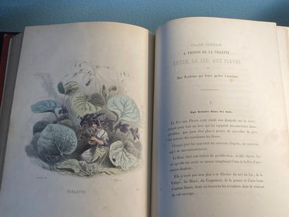 GRANDVILLE: Les fleurs animées. Introduction...