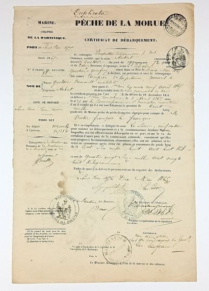 GRANDE PÊCHE. MARTINIQUE. TERRE-NEUVE. Certificat...