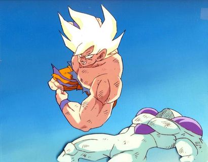 DRAGON BALL Z D'après Akira Toriyama Studios...