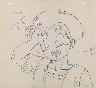 DRAGON BALL Z D'après Akira Toriyama Studio...