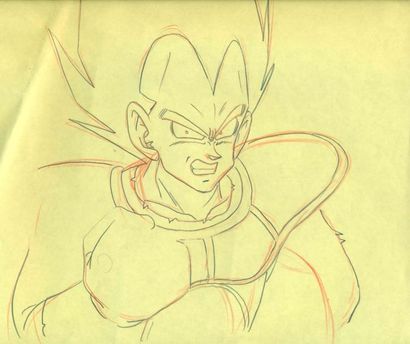 DRAGON BALL Z D'après Akira Toriyama Studio...