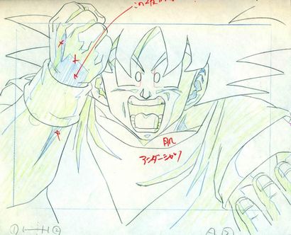 DRAGON BALL Z D'après Akira Toriyama Studio...