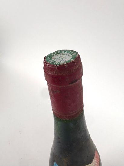 Cyclisme / Vin
Bouteille « Cuvée du Citoyen...