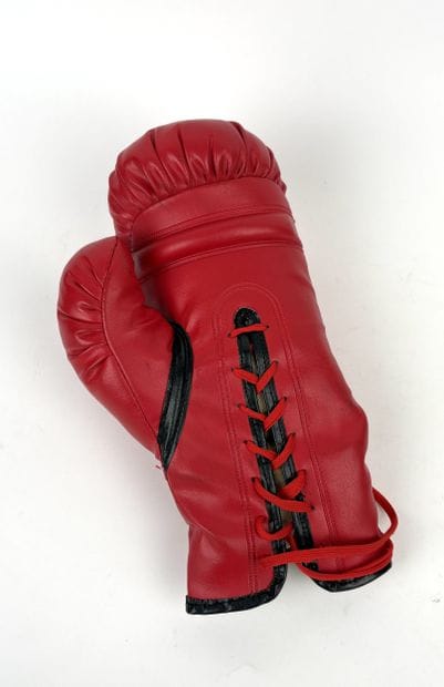 Boxe / Autographe
Gant Everlast signé par...
