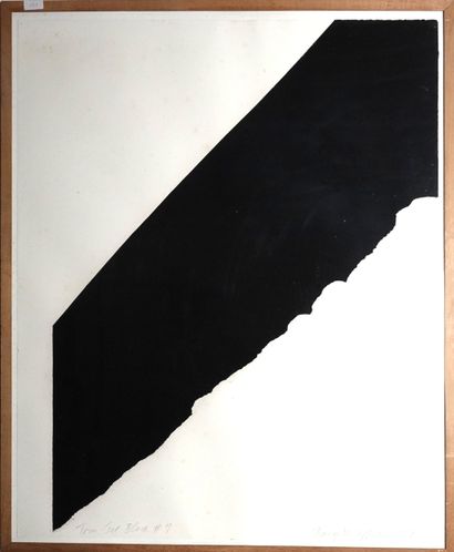Nancy M. Hoffman (XX° siècle)
« Torn Jet...