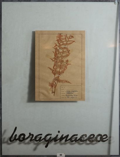 Orshi Drozdik (née en 1946)
Herbier
3 encadrés...