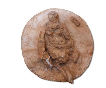 Lucien BRASSEUR (1878-1960)
Faune
Médaillon...