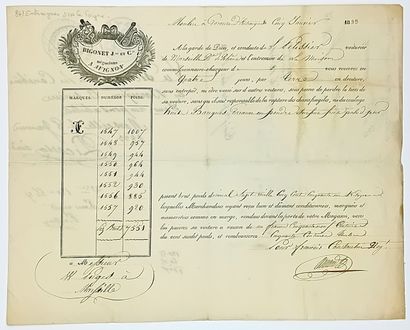 VAUCLUSE. 2 pièces : MEMORA D’AVIGNON (Avenione)...