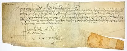 HENRI IV. Protection et Sauvegarde spéciale,...