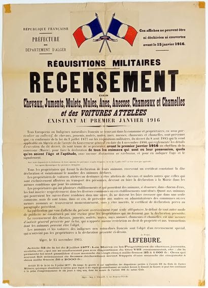 ALGÉRIE FRANÇAISE. CHAMEAUX. Guerre 1914/15....
