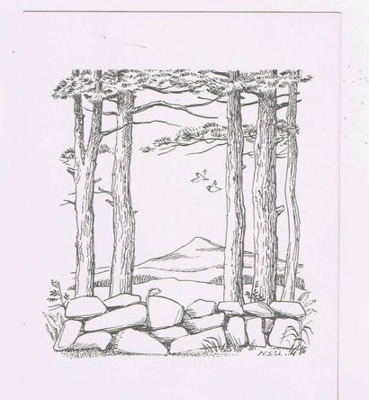 Elizabeth YATES (1905–2001, American writer),...