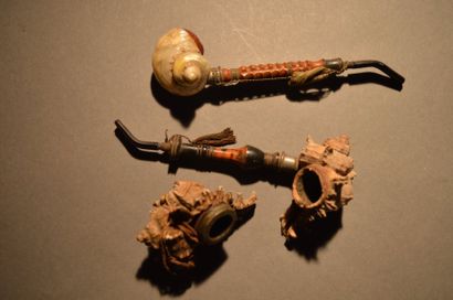 Lot de trois pipes en coquillage. Bretagne,...