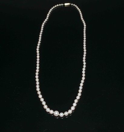 COLLIER de PERLES de culture en CHUTE 0,7...